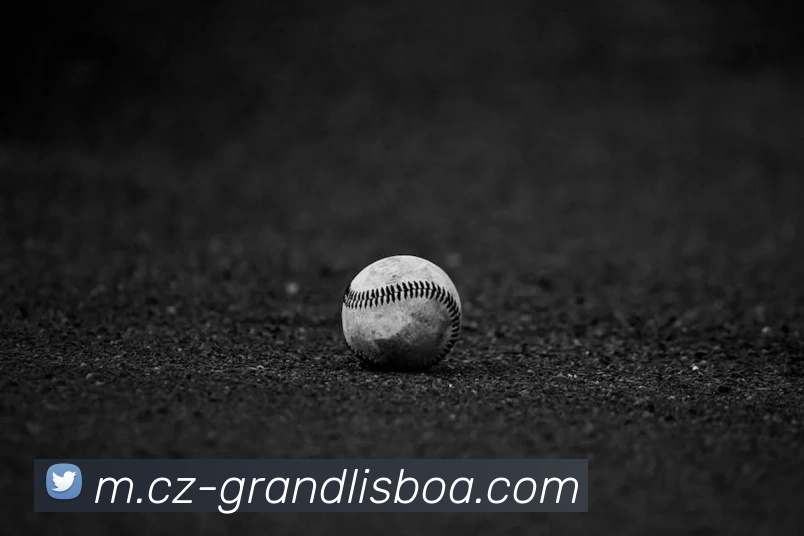 新葡京娱乐服务体系